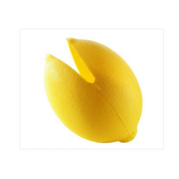 Kütahya Porselen Slikon Limonluk