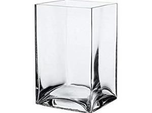 Paşabahçe 80136 Botanica Vazo